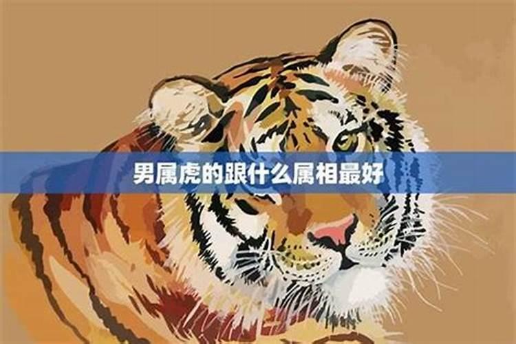 男虎与什么相配婚姻如何 属虎和什么属相最配