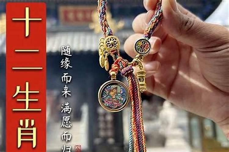 龙和鼠属相合不合,属龙人与属鼠人的关系怎么？