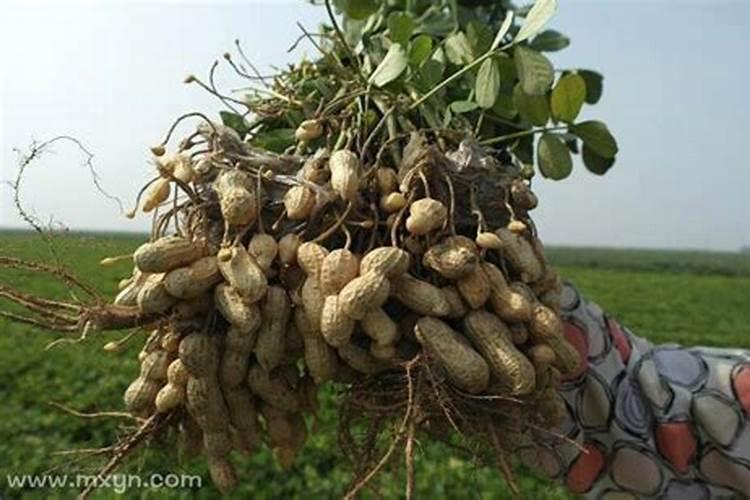 清明节是几月几日农历