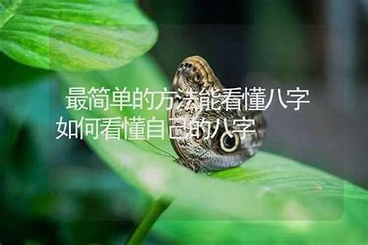 什么八字的人祖上有德