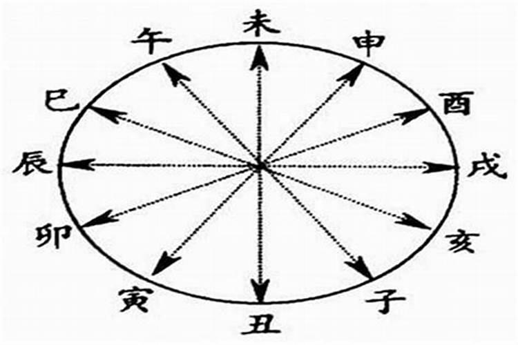 属蛇与羊合不合