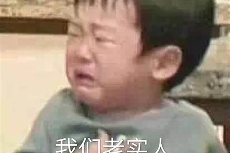 63年的兔2025年的运势怎么样