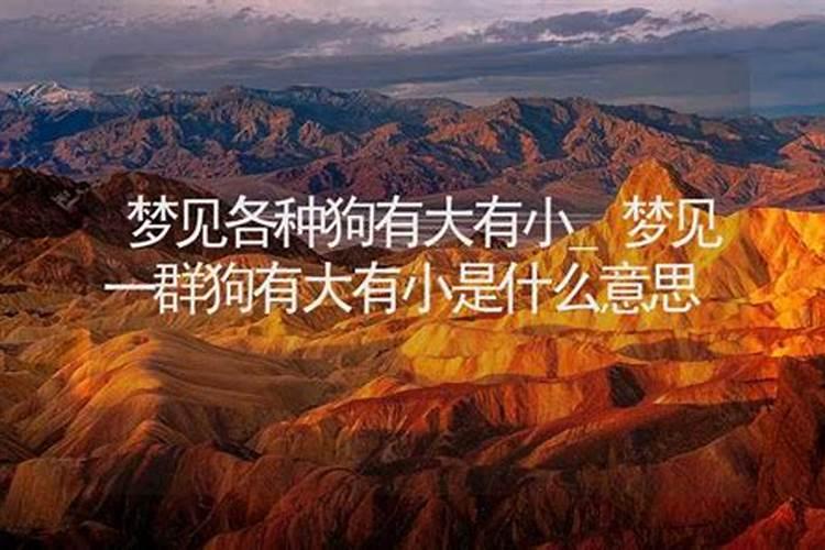 2025财神爷面朝哪个方向最好