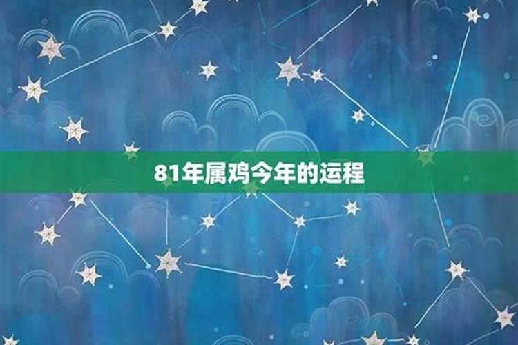 属鸡人2024运势及运程完整版 属鸡2024年运势及每月运程详解