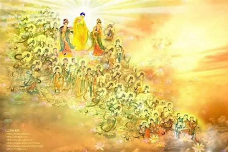 1998年属虎哪一年会动婚