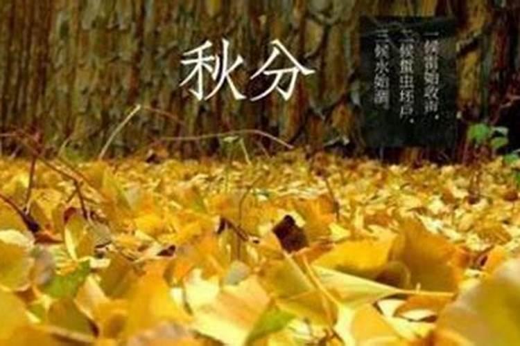 2025属蛇本命年可以领证吗 属蛇人适合在什么时候结婚