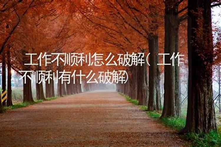 2025冬至日是哪天