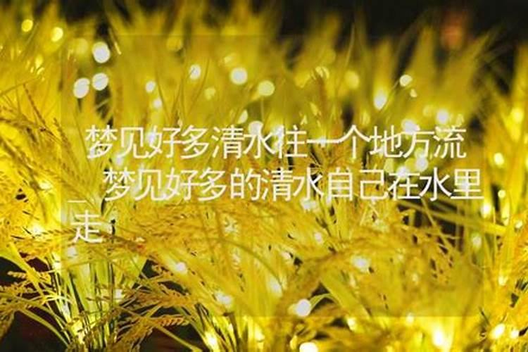 梦见好多水是什么预兆
