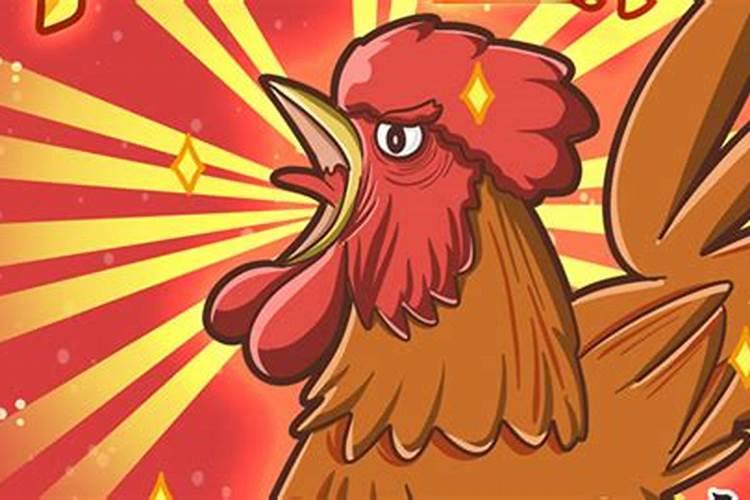 属鸡的为什么腊月出生不好为名为利终日劳