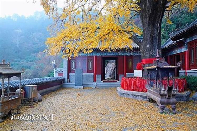 打算去东台观音禅寺为堕胎婴灵超度,大概是什么样的流程？