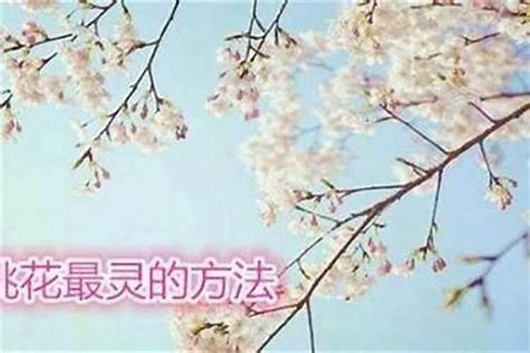 八字不合的婚姻可以化解吗 有几种类型要注意