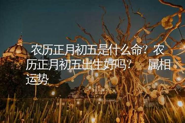 2025清明上坟时间表