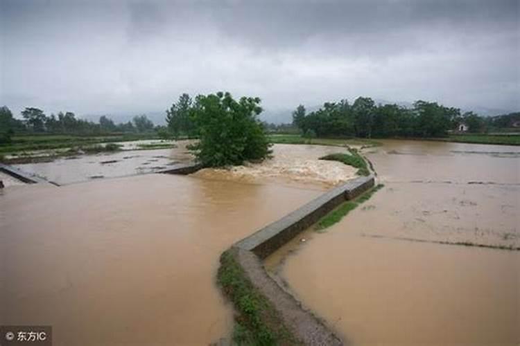 2023清明在外地烧纸是去十字路口还是山上寺庙烧清明回不去异地烧纸有...