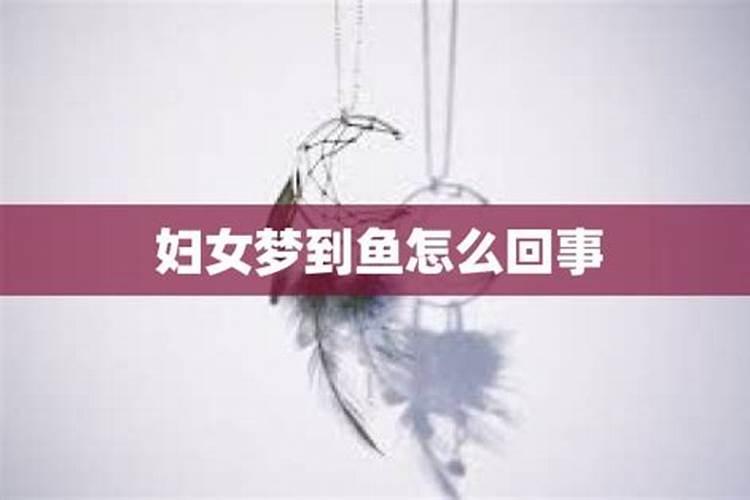 怀孕梦见鱼是什么意思