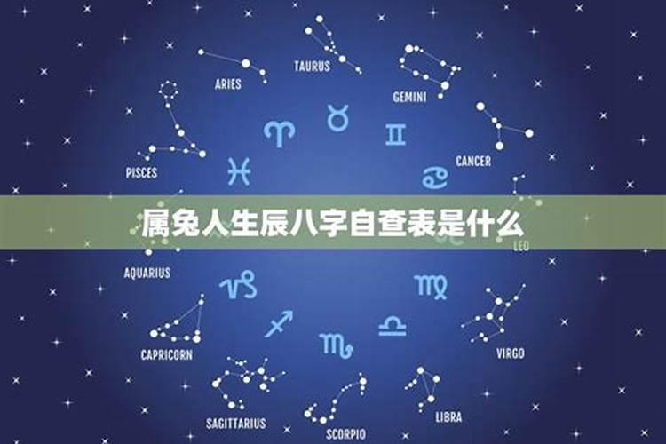属龙和属虎的2024年结婚好,还是2025年结婚好？