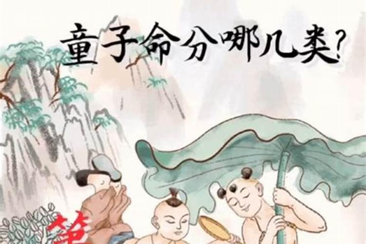 2025年属牛女的全年运势1985出生