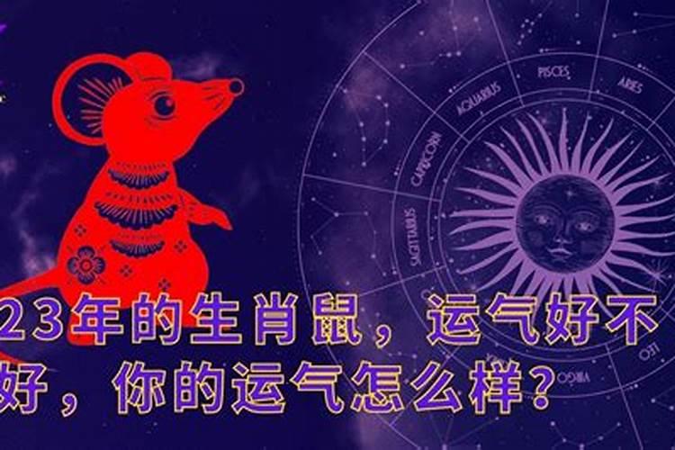 属兔本命年怎么化解太岁 穿戴红色可提升气场