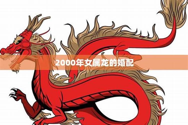 男龙女龙是不是不合婚？