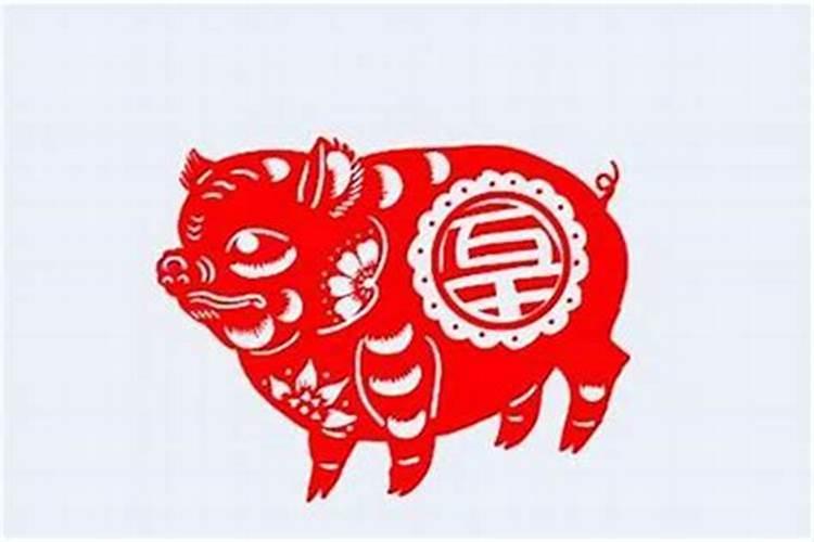51年属兔2023到2025未来三年运势好吗？