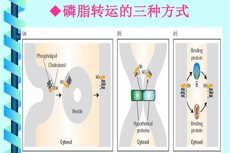 运气不好怎么转运最有效果