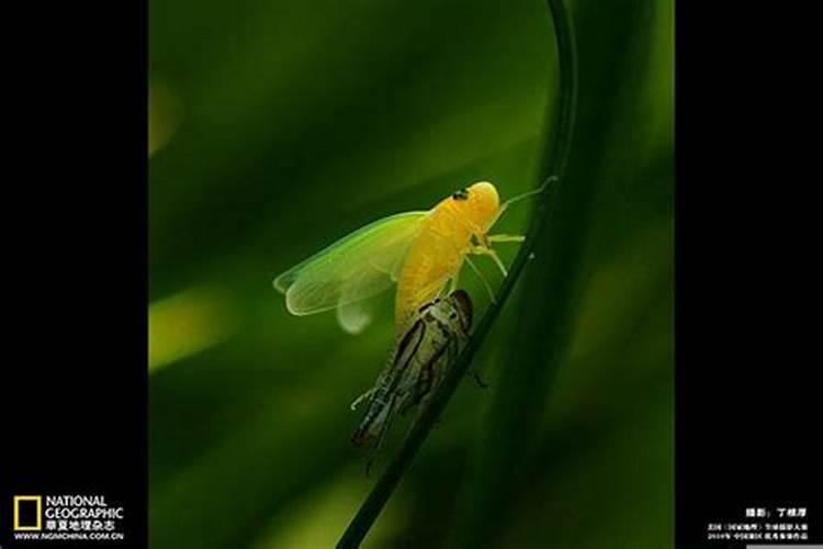 开工敬神上香的正确方法