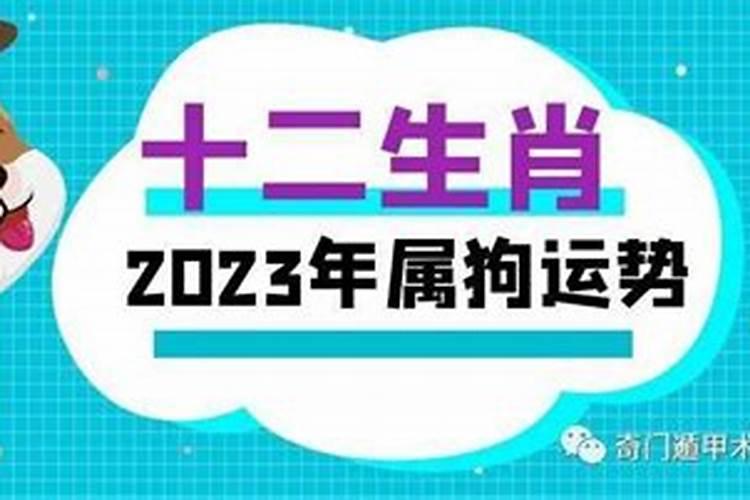 24年属狗的总体运程每月运势讲解