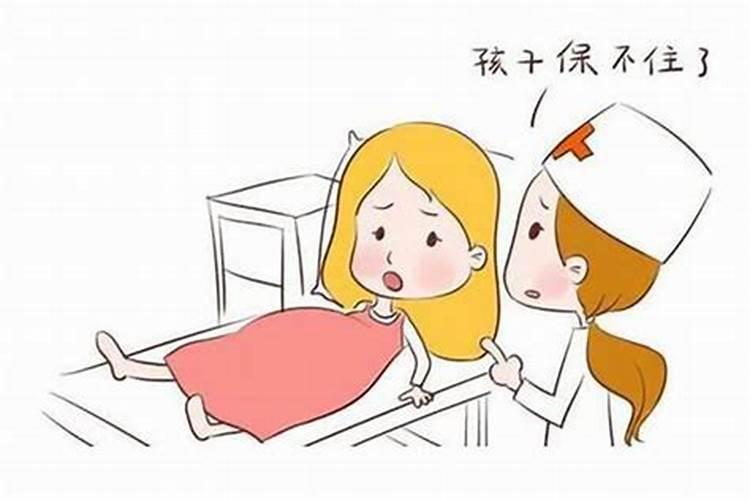 属狗的今年犯太岁怎么化解