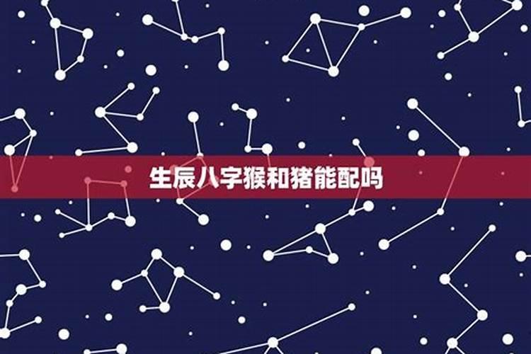 免费算婚姻:属猴男与属猪女的婚姻好吗 八字合财吗