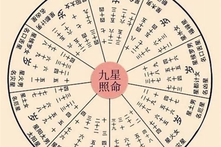 2024年11月19日属鸡人运势