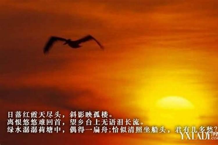 端午节拜财神可以上粽子吗