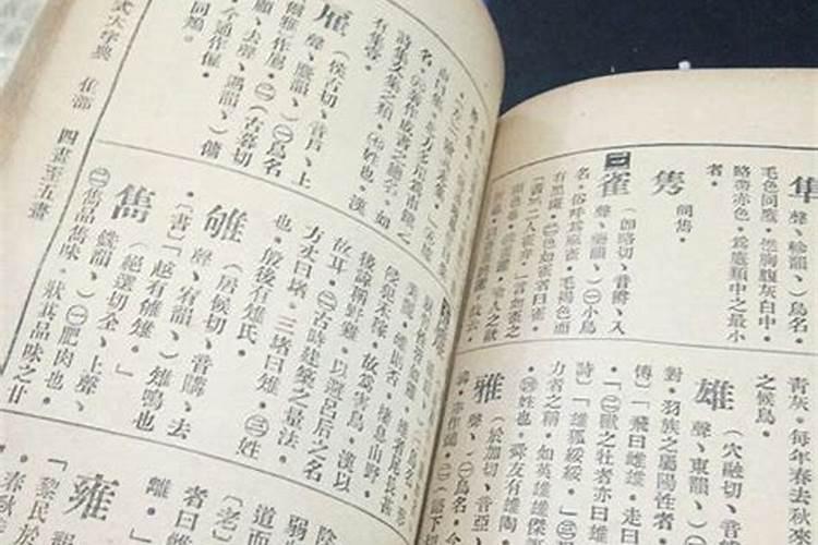 亥日是哪一天
