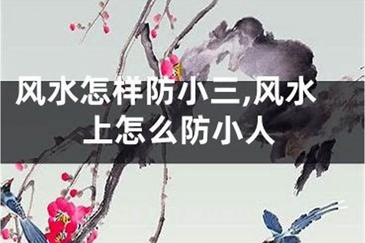 风水上防小人的方法摆放仙人掌远离小人？