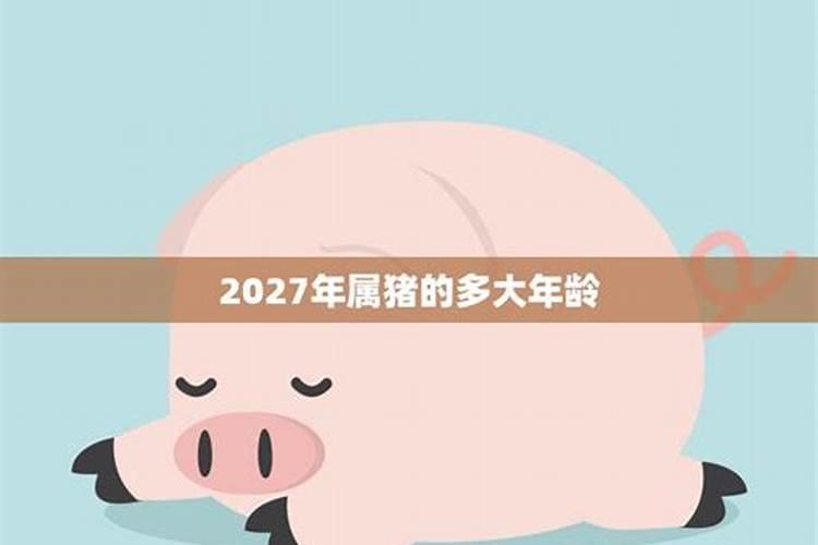生肖猪1971年2025年运势如何 生肖猪1971年2025年全年运势