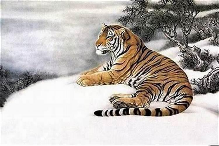 2025属虎犯太岁吗 属虎人2025年综合运势