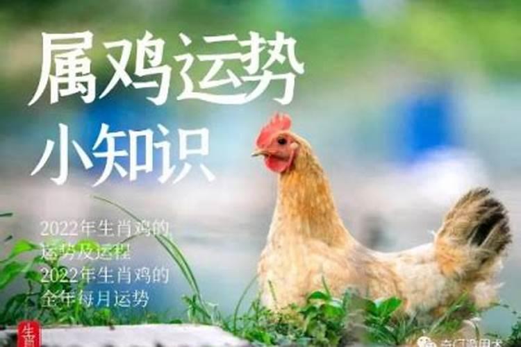 81年属鸡女2025年每月运势及运程详解