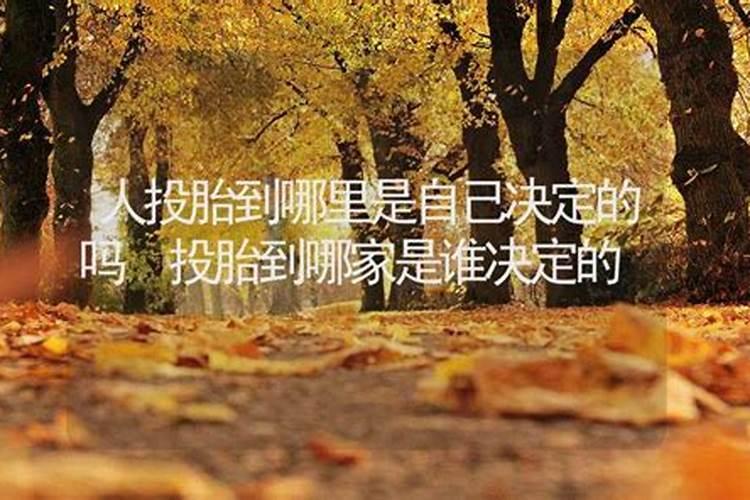 属鼠人2025年6月份运势