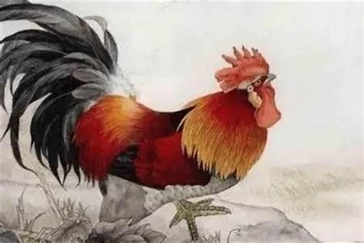 女性本命年要注意什么女人本命年的禁忌