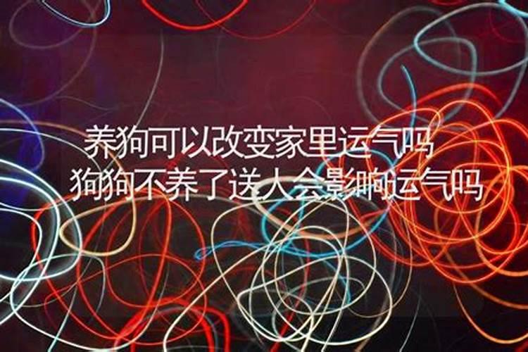 狗狗送人了财运就不好
