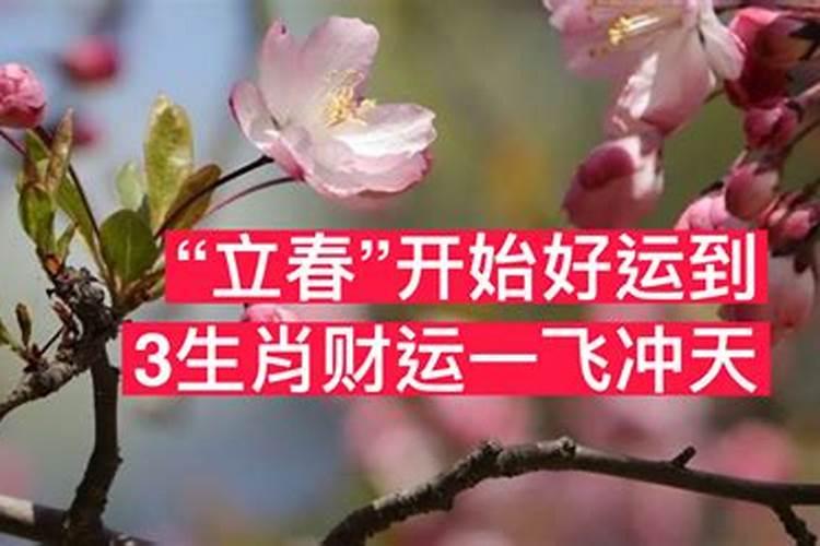 立春出生的人命运好吗
