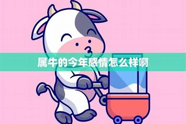 2025年属牛97年生的运势