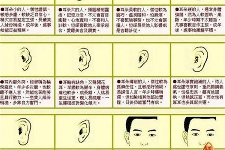 耳朵尖的人什么命