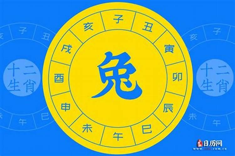 属兔2025年运势详解