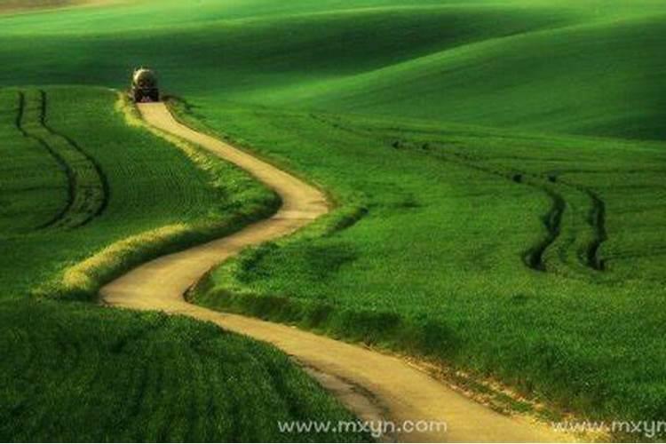 梦见回家反方向走错路是什么预兆？