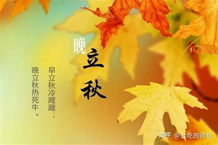 立秋后三天交运算当天吗？