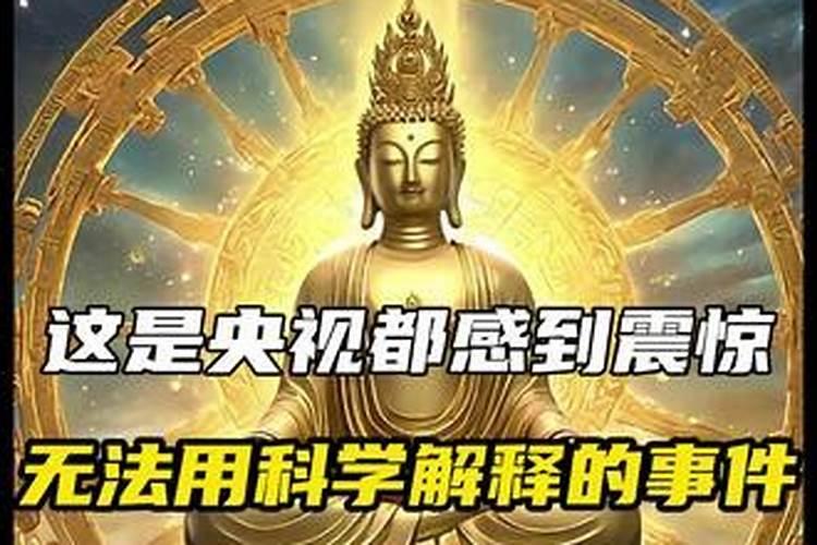 梦见五婶的预兆