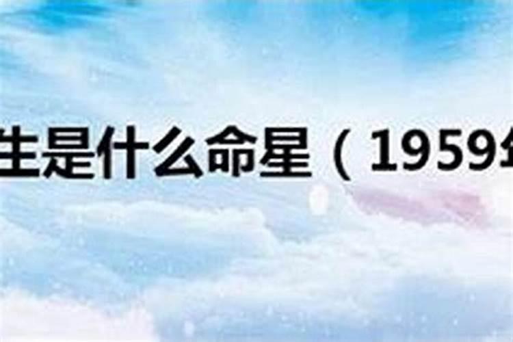 2025生肖蛇的运势大全 属蛇人2025年每月运势