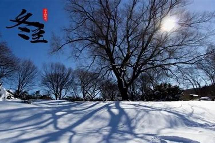 婚配:男女天干合好还是地支合好 最佳合婚配对？