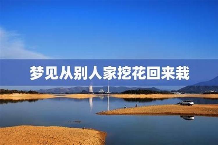 梦见民宅小院的预兆