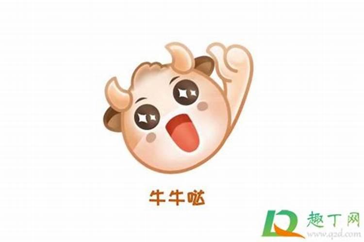 属牛腊月出生命运如何