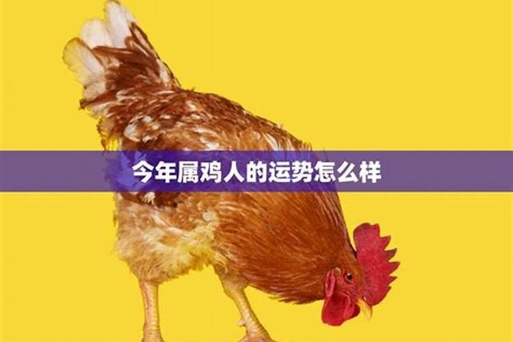 两个人的名字测婚配吗 通过两个人的名字算一下婚姻